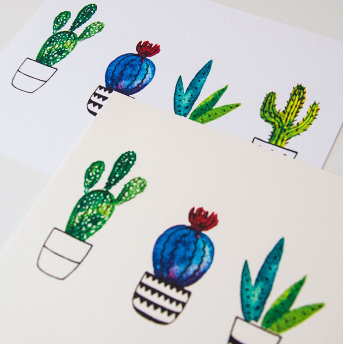 Colorful cactus illustrations on a white background